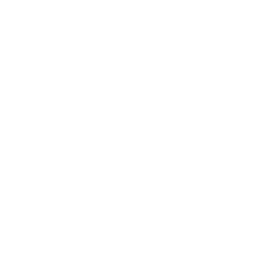 Ticks Icon