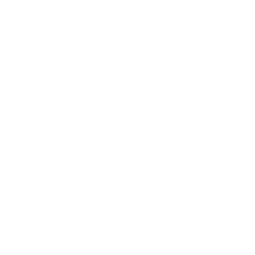 Spiders Icon