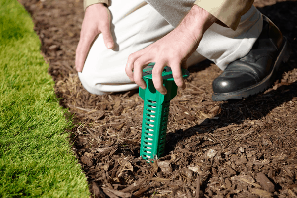 Termite Control